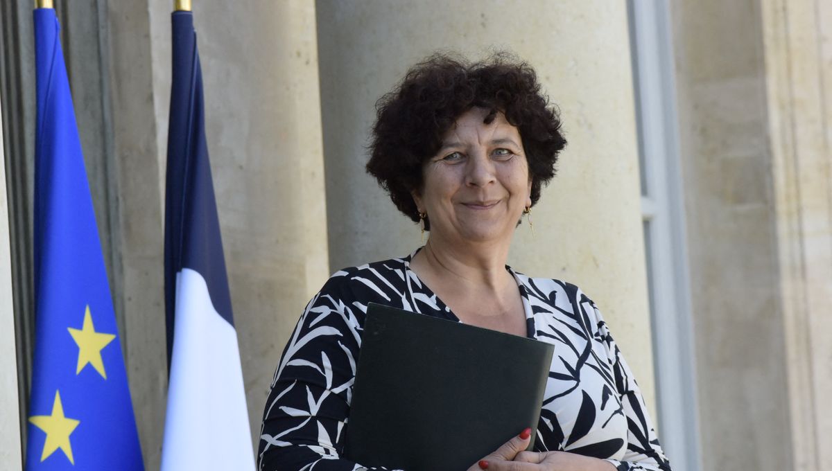 Anciens Ministres Français Reconvertis en Lobbyistes: L’Évolution du Pouvoir