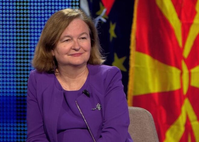 La Démocratie Européenne selon Nathalie Loiseau: Une Critique Féroce des Manipulations Politiques