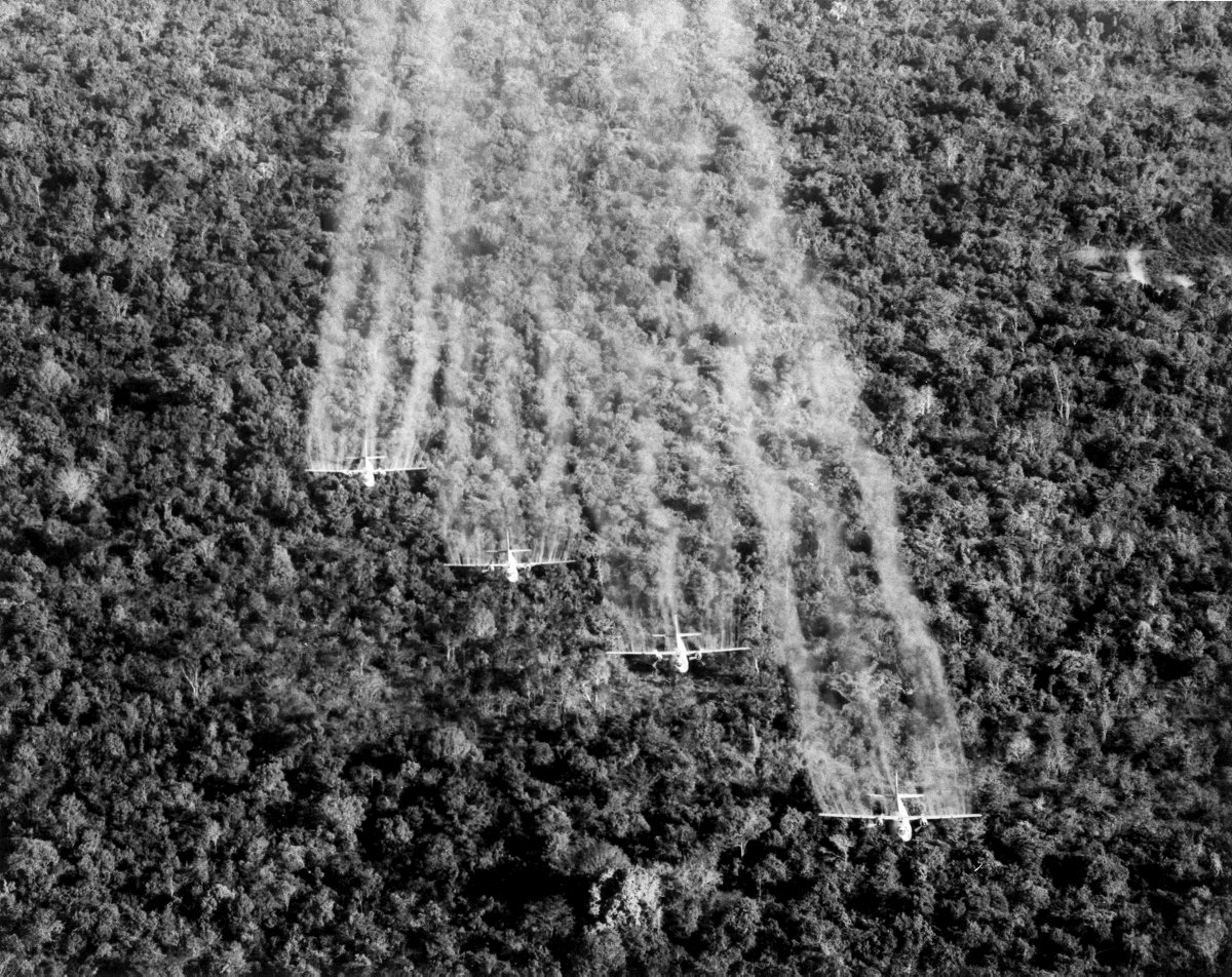 Les ravages de l’agent orange : les États-Unis ignorent toujours leur responsabilité